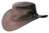 The Brown Darwin Hat